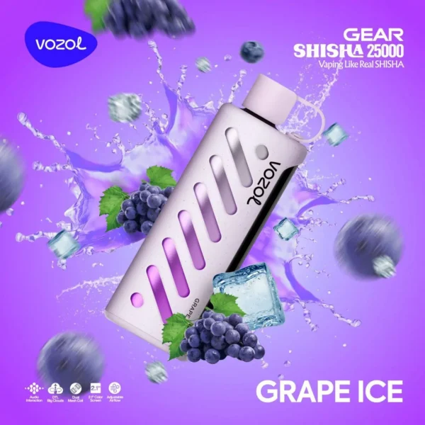 Grape Ice Vozol Gear 25000 Grape Ice