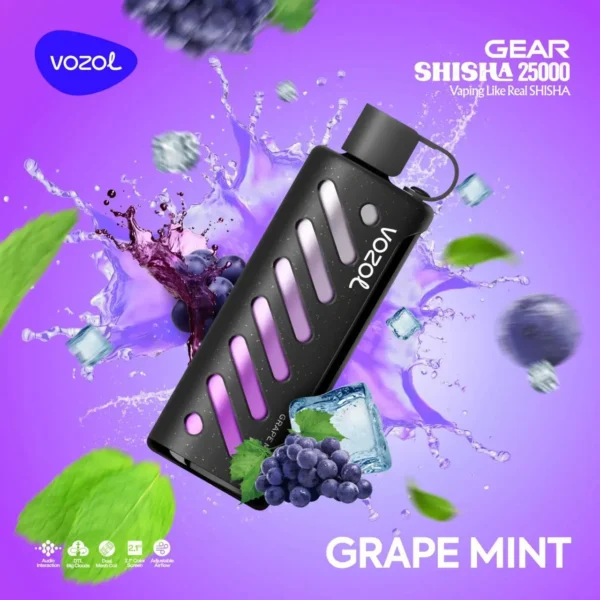 Vozol Gear 25000 Grape Mint