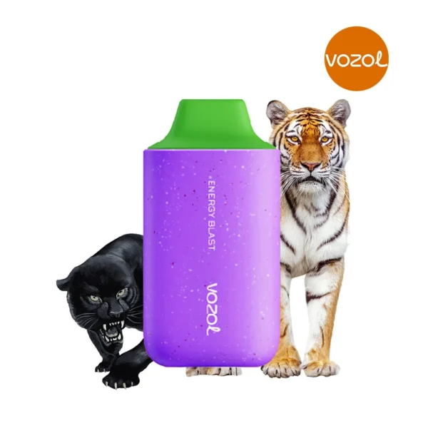 Vozol 6000 Energy Blast